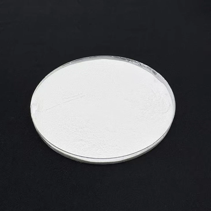 PVPP Pharmaceutical Excipient